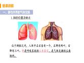 2021年初中生物人教版七年级下册  第二节  发生在肺内的气体交换  课件