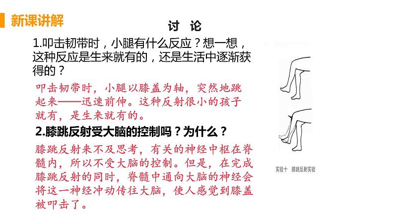 神经调节的基本方式PPT课件免费下载07