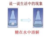 第二单元2.4细胞的生活课件PPT