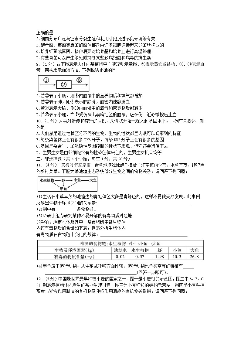 2019年湖北省黄冈市中考生物试题及解析第2页
