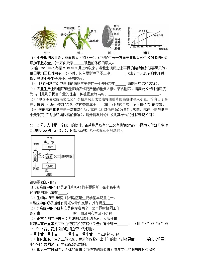 2019年湖北省黄冈市中考生物试题及解析第3页