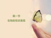 北京版八年级上册生物《生物的性状表现》优教课件