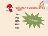 北京版八年级上册生物《生物的性状表现》优教课件