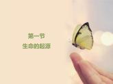 北京版八年级上册生物《生命的起源》优教课件