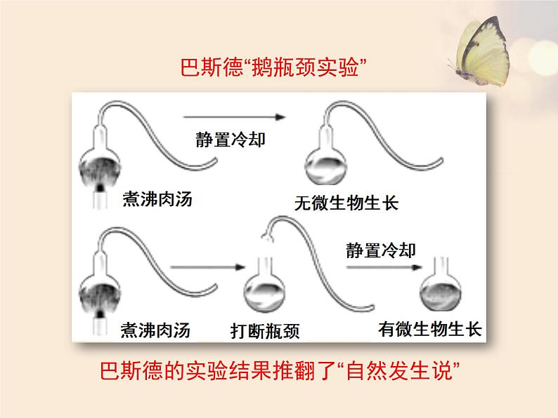 北京版八年级上册生物《生命的起源》优教课件第8页