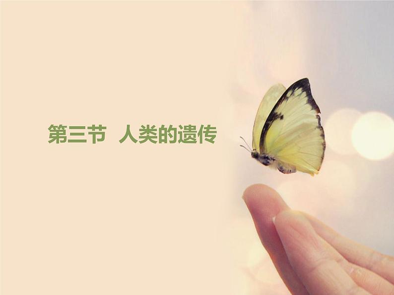 北京版八年级上册生物《人类的遗传》优教课件01