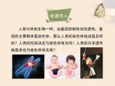 北京版八年级上册生物《人类的遗传》优教课件