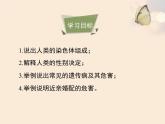 北京版八年级上册生物《人类的遗传》优教课件