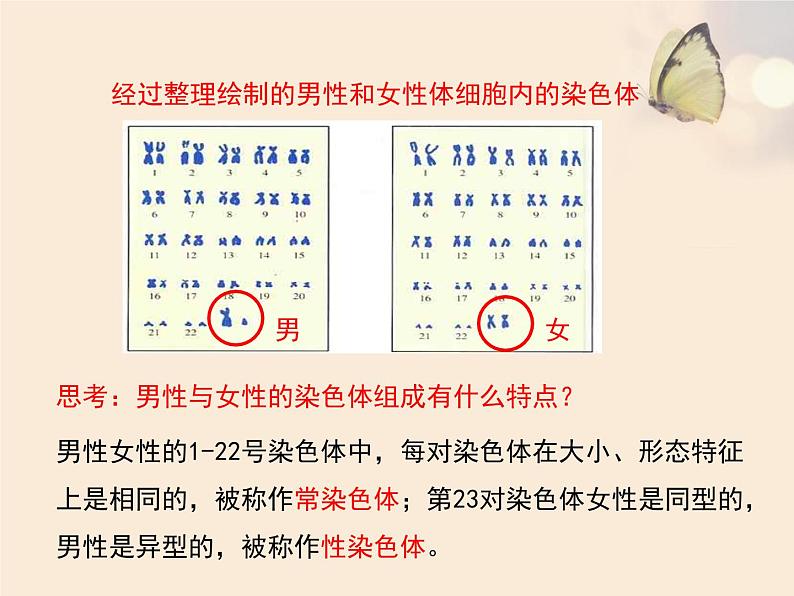 北京版八年级上册生物《人类的遗传》优教课件06