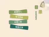人的生殖和发育PPT课件免费下载