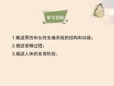 人的生殖和发育PPT课件免费下载