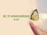 北京版八年级上册生物《动物的生殖和发育》第2课时优教课件