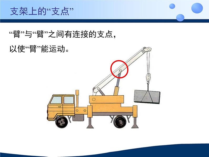 北京版八年级上册生物《动物的运动》授课课件2第5页