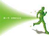 北京版八年级上册生物《动物的运动》授课课件3