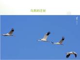 北京版八年级上册生物《动物的运动》授课课件3