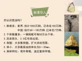 北京版八年级上册生物《动物的生殖和发育》第1课时优教课件