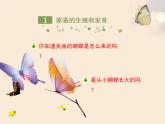 北京版八年级上册生物《动物的生殖和发育》第1课时优教课件