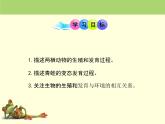 北京版八年级上册生物《动物的生殖和发育》第2课时授课课件
