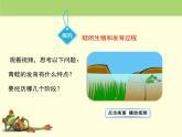 北京版八年级上册生物《动物的生殖和发育》第2课时授课课件
