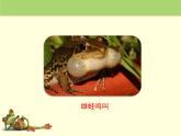 北京版八年级上册生物《动物的生殖和发育》第2课时授课课件