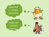北京版八年级上册生物《动物的生殖和发育》第3课时授课课件