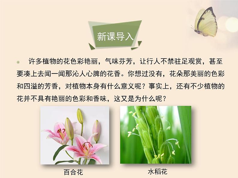 北京版八年级上册生物《绿色开花植物的生殖和发育》第1课时优教课件03