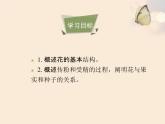 北京版八年级上册生物《绿色开花植物的生殖和发育》第1课时优教课件