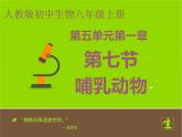 5.1.7 哺乳动物 课件2021——2022学年人教版生物八年级上册