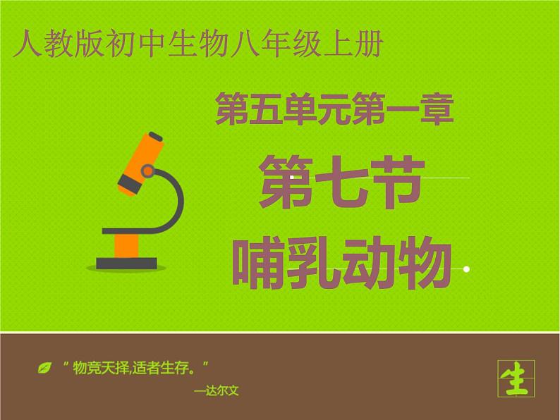 5.1.7 哺乳动物 课件2021——2022学年人教版生物八年级上册01