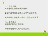 5.1.7 哺乳动物 课件2021——2022学年人教版生物八年级上册