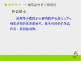 5.1.7 哺乳动物 课件2021——2022学年人教版生物八年级上册