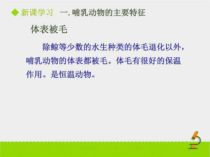 5.1.7 哺乳动物 课件2021——2022学年人教版生物八年级上册04