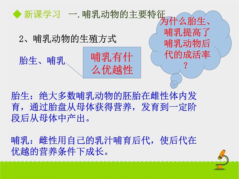 5.1.7 哺乳动物 课件2021——2022学年人教版生物八年级上册06