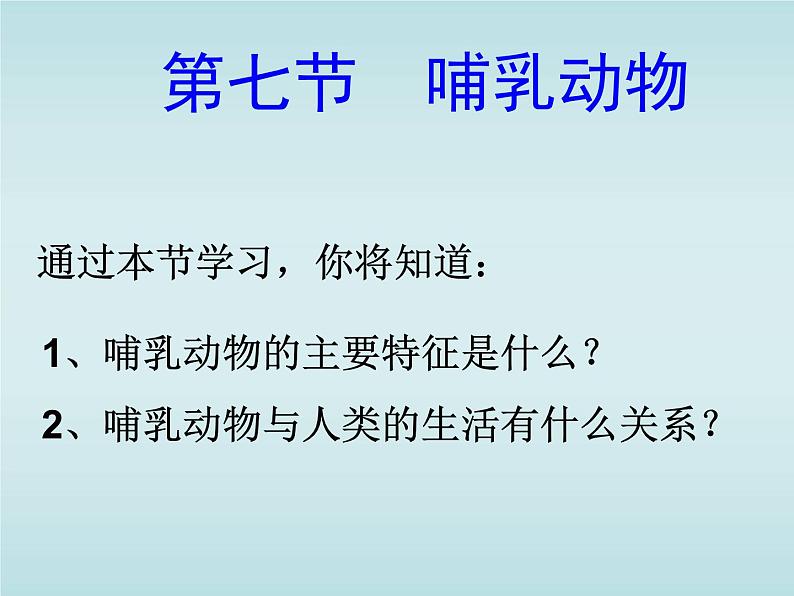 5.1.7 哺乳动物 课件  2021—2022学年人教版生物八年级上册01