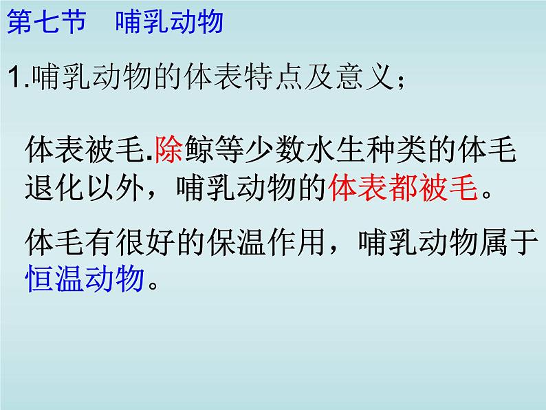 5.1.7 哺乳动物 课件  2021—2022学年人教版生物八年级上册07