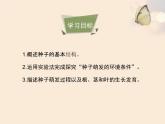 绿色开花植物的生殖和发育PPT课件免费下载