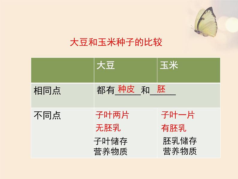 绿色开花植物的生殖和发育PPT课件免费下载06