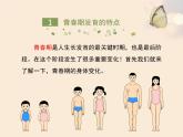 北京版八年级上册生物《人的生殖和发育》第2课时优教课件