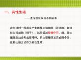 生物生殖的多种方式PPT课件免费下载