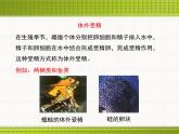 生物生殖的多种方式PPT课件免费下载
