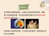 北京版八年级上册生物《生物生殖的多种方式》优教课件