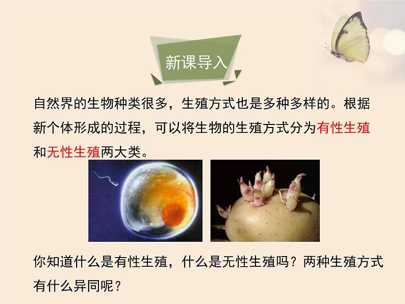 北京版八年级上册生物《生物生殖的多种方式》优教课件03