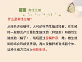 北京版八年级上册生物《生物生殖的多种方式》优教课件