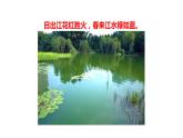 生物-课时--第一节藻类、苔藓和蕨类植物课件PPT