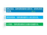 生物-课时--第一节藻类、苔藓和蕨类植物课件PPT
