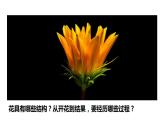 生物-课时--第三节开花和结果课件PPT