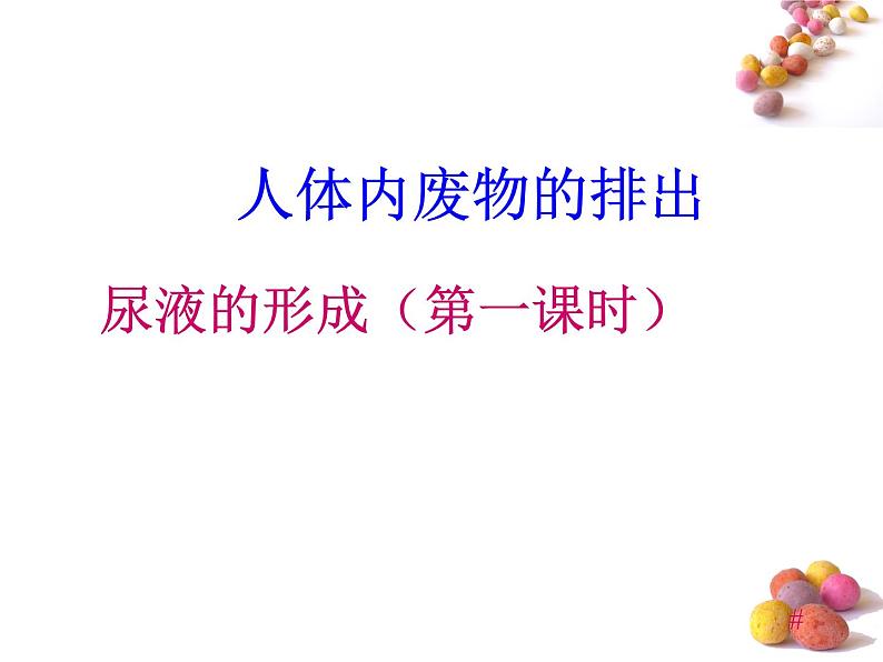 人体内废物的排出PPT课件免费下载01
