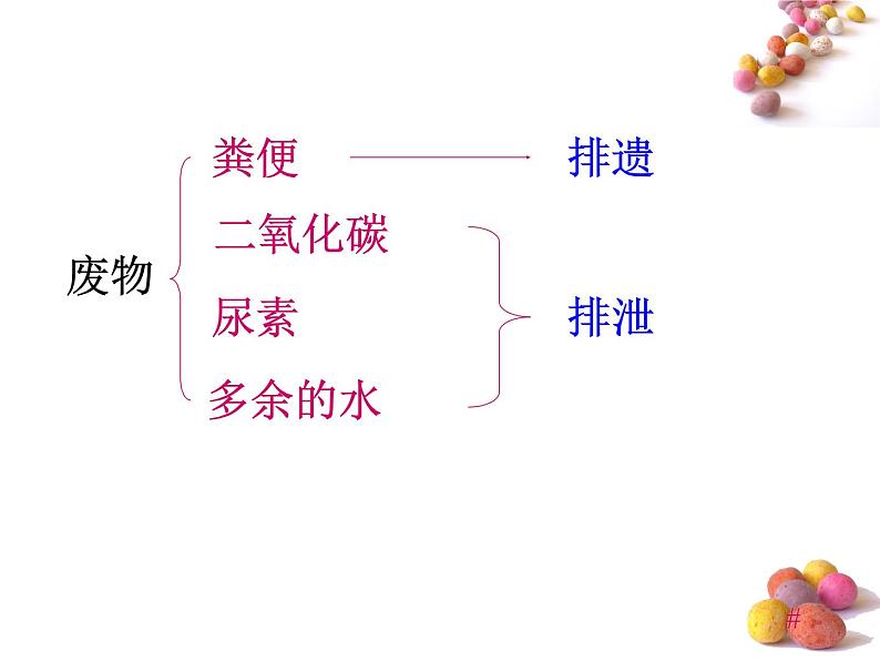人体内废物的排出PPT课件免费下载05