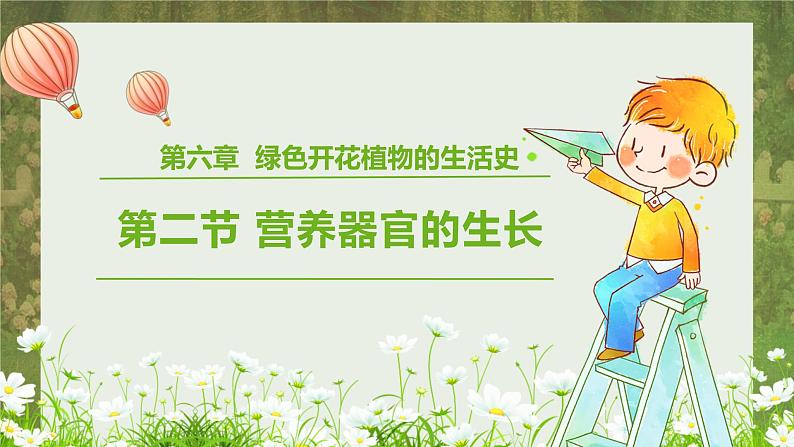 北师大版生物七年级上册课件6.2营养器官的生长01