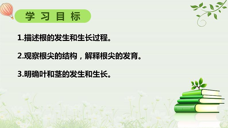 北师大版生物七年级上册课件6.2营养器官的生长02